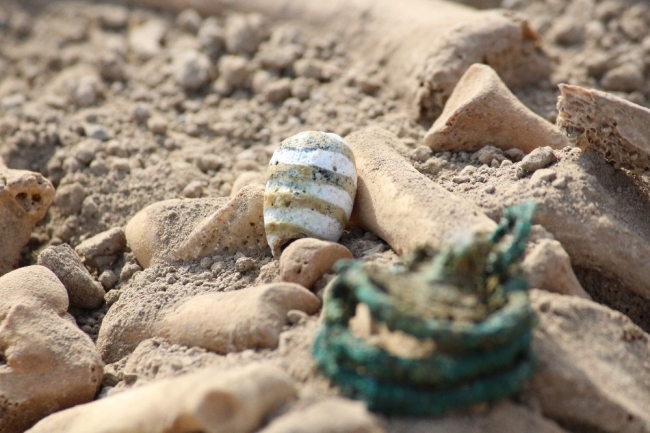 Van Kalesi Höyüğü'nde Urartu kadınlarına ait mezarlar bulundu